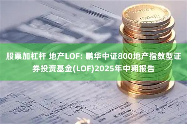 股票加杠杆 地产LOF: 鹏华中证800地产指数型证券投资基金(LOF)2025年中期报告