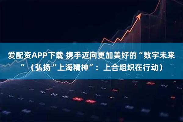 爱配资APP下载 携手迈向更加美好的“数字未来”（弘扬“上海精神”：上合组织在行动）